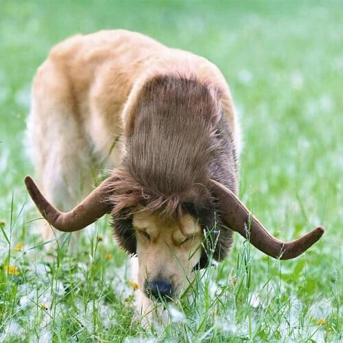 Pet Dog Funny Clothes Cattle Horns Headgear Winter Warm Headgear Comical Outfits With Wig Set Pet Cat Dog Party Clothing