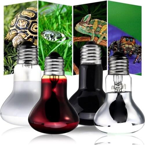 1set 25/50/75/100W UVA Reptile Lamp Bulb Turtle Day Night Basking Light Bulbs Heating Lamp for Amphibians Lizards Snake Reptile