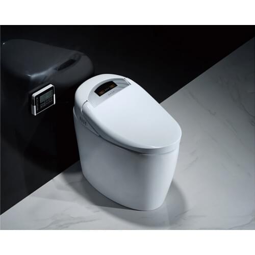 KASG KA961DS(UF) Intelligent Toliet UF cover plate