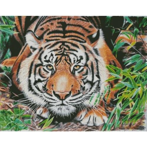 Tiger 2 Animal Cross Stitch Kits Oil Painting Needlework 14CT Unprinted Embroidery Top Quality Counted DIY Handmade Decoration