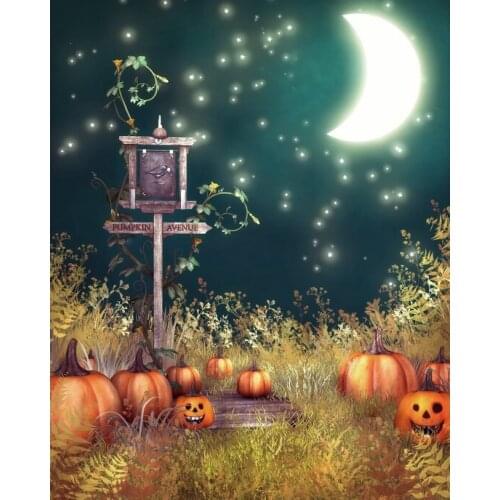 New Halloween party backgrounds photography fabric pumpkin avenue photo backdrops for photographic studio accessories HA-049