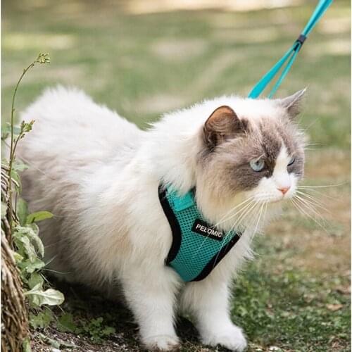Cat Harness and Leash Set Adjustable Escape Proof Cat Vest Harness With Reflective Strips for Kitten Puppy