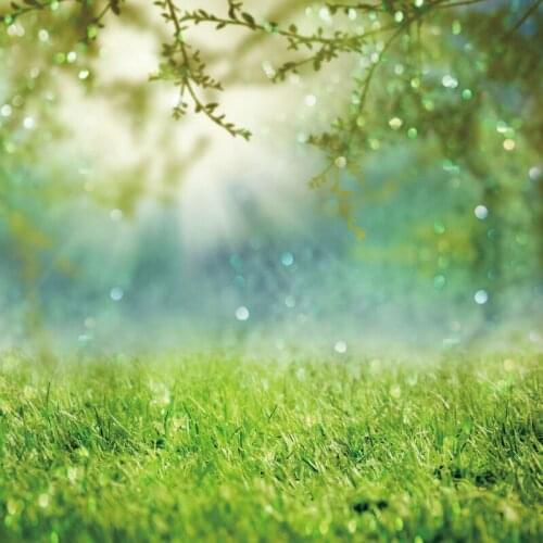Laeacco Green Spring Backdrops For Photography Polka Dots Light Bokeh Lawn Outdoor Scenic Photographic Background Photo Studio