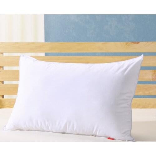 Single pillow 90% white goose down pillow 20*26 inches white filled 22 oz Fill power 800+ white goose down free shipping