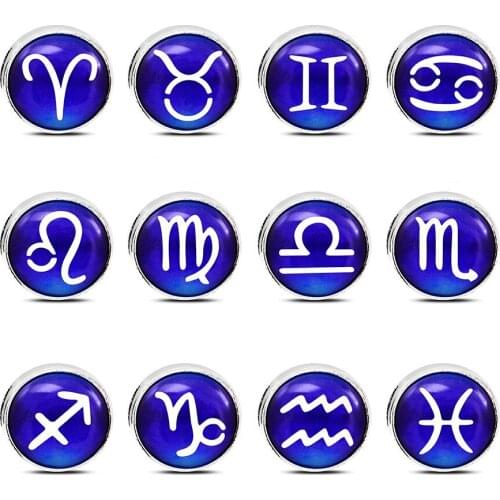 12pcs/lot Internal Dia 8mm Slide Charm Constellations DIY Accessories fit 8mm wide belt pet collar