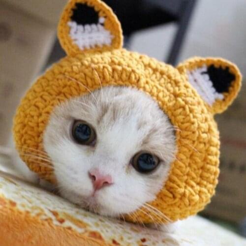 Cat Hat Cartoon Fox Shaped Headgear Cute Knitted Headwear For Small Dogs And Cats Pet Accessories Headdress Party Dress Up