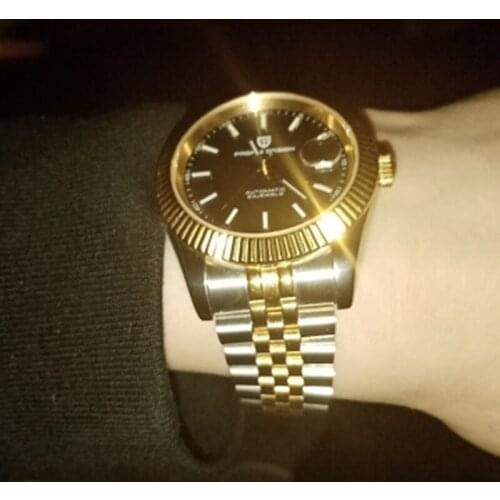 PAGANI DESIGN Sapphire Glass Men Mechanical Watch Top Brand Luxury Automatic Watch Sport Waterproof Men Watch Relogio Masculino