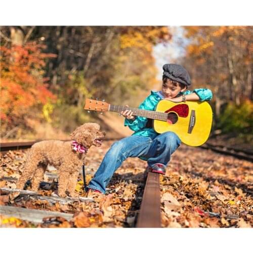 2016 diy diamond painting of Boy playing guitar and dog Square diamond mosaic Full rhinestones drill diamond embroidery A5406R
