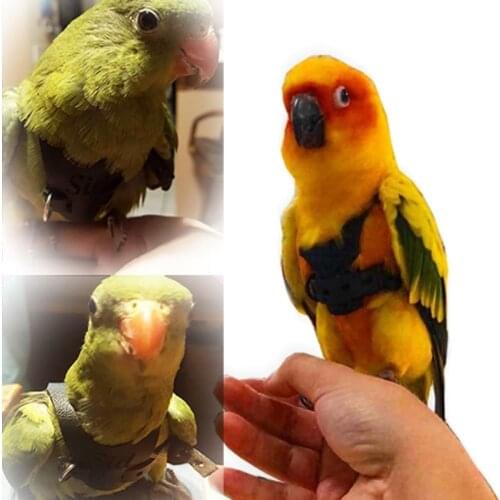 Anti-bite Flying Band Pet Bird Parrot Leather Harness Lead Leash OutdoorTraining Rope Belt 1PC Black/ Red /Yellow