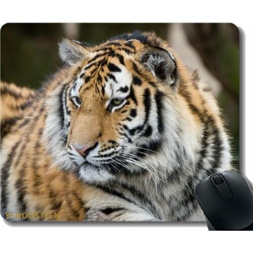 Mouse Pad With Locking Edge,Tiger Muzzle Predator Look Big Cat 117937 Mouse Pads