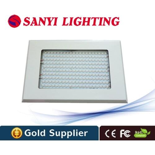 Strawberry plant grow led light 200w cob red blue hydroponic grow lighting for Indoor Greenhouse Plant Grow and Bloom