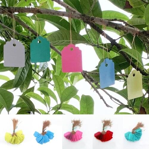 100pcs Garden Labels Plant Classification Sorting Sign Tag Ticket Plastic Writing Plate Board Plug Card Mark Tools