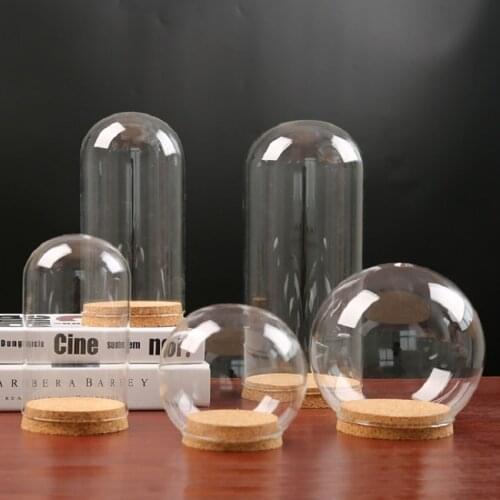 Glass Cloche Bell Jar Display Dome with Wood Base Decorative Clear Glass Cloche Bell Jar Display Case Cover