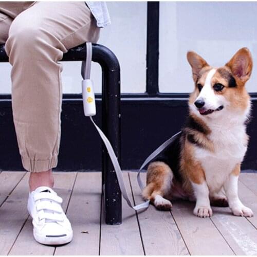 New anti lost pet traction rope dog chain dog accessories dog puppy pet anti lose dog leash and collar set for small/middle dog