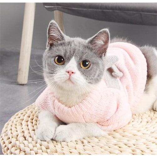 Dog Cat Sweater Autumn Butterfly Bow Pet Cat Sweater Clothes for Small Dogs Sweatershirt Kintwear Dog Jumper XS S M L XL