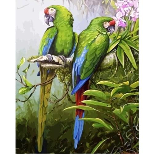 DIY Digital Painting By Numbers Green parrot oil painting mural Kits Coloring Wall Art Picture Gift frameless