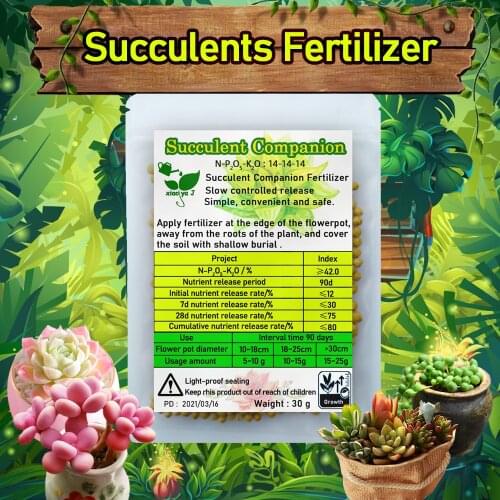 Succulent Companion Bonsai Plant Food Control Compound Fertilizer Slowly Release Nutrients Growing Recovery Aid Garden