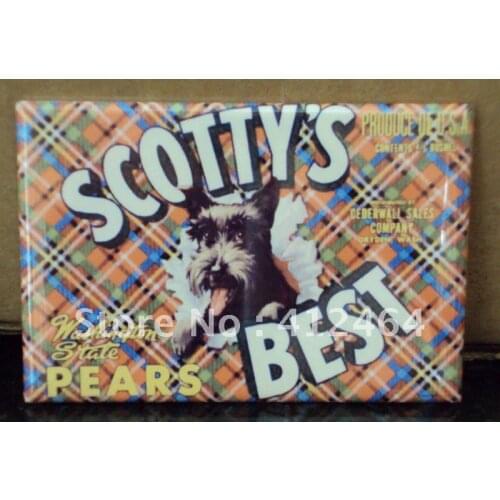 Hot selling Custom epoxy fridge magnet (ss-1189)