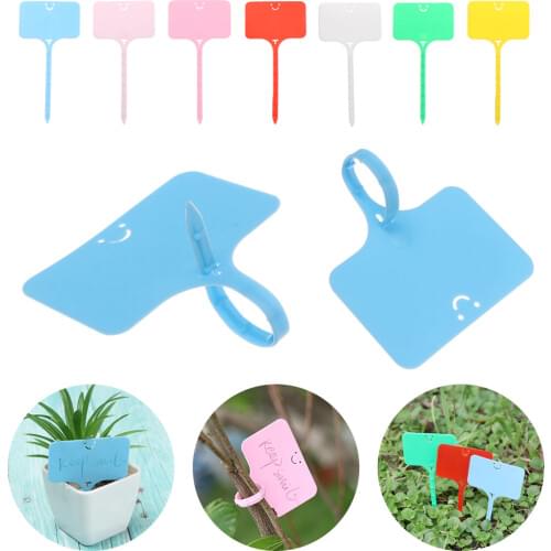 100Pcs T shape Garden Labels Gardening Plant Classification Markers Sorting Seedling Tags Greenhouse Nursery Pots Writing Plate