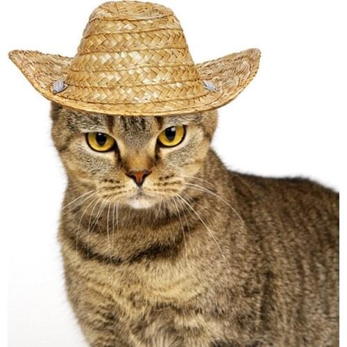 Pet Cat Dog Woven Straw Hat Summer Pets Sunshade Hat Fashion Puppy Outdoor Travel Walking Clothes Accessories