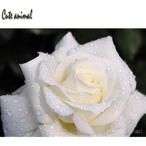 Diamond Painting Rhinestone White rose flower 5D DIY Diamond Embroidery Cross Stitch diamond Mosaic Sale home decoration 2020