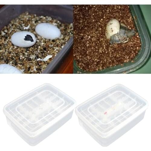 Reptile Egg Tray Snake Lizard Egg Hatching Incubator Box Gecko Dedicated Hatcher Device Turtle Incubator Supplie