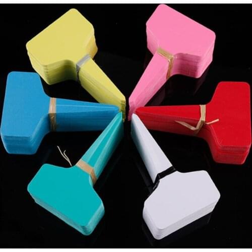5000pcs 5*7cm 6*10cm Plastic Plant T-type Tags Markers Nursery Garden Decoration Tags for Plants Garden Supplies