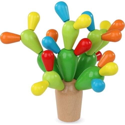 LSRC Wooden Constructors