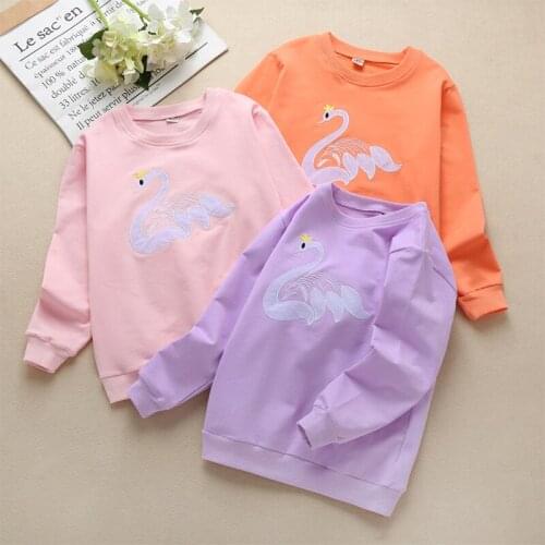 Girls' sweaters new spring clothes childrens big childrens spring autumn cartoon embroidery long-sleeved tops