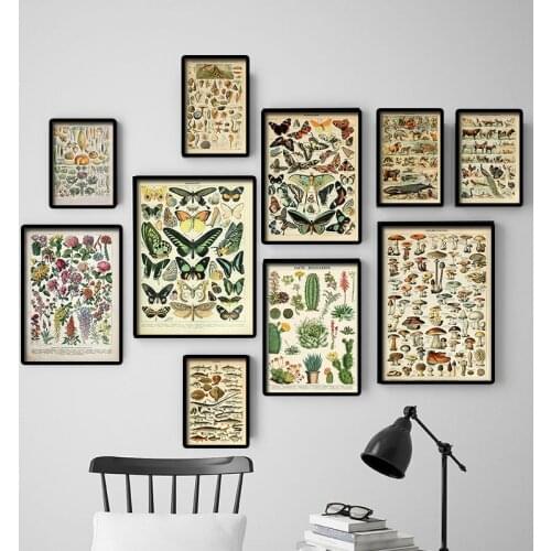 Vintage Canvas Painting Plants Animals Mushroom Retro Poster and Printable Wall Art Mural Living Room Home Decoration Cuadros