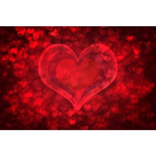 VinylBDS Custom Valentines day Backdrops Photography Backgrounds Fond Studio Heart Backdrops For Photography Fotografia