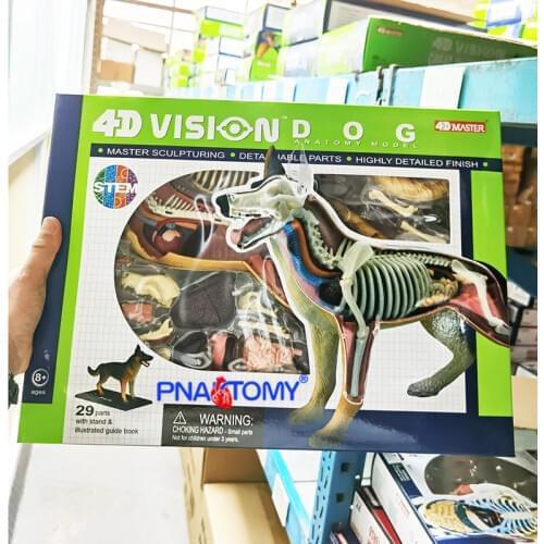 4D MASTER Animal Puzzle Dog Toys Animal Anatomical Models Detachable DIY Children Gifts Canine Educational Tool 4D MASTER 26115