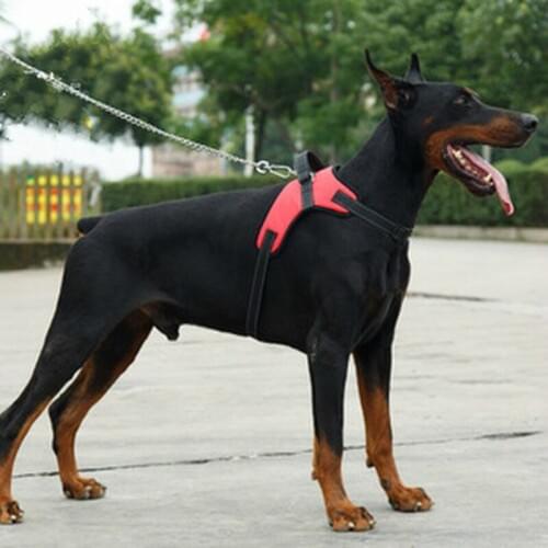 New Comfortable Adjustable Small Large Dogs Vest Reflective Breathable Pet Vests Outdoor Walking Dog Supplies Clothes Plus Size