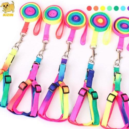 2021 Pets Use Dog Harness Leads Sets Cute Rainbow Colorful Style Nylon For Small Cats Puppy Chihuahua Outdoor Pet Products