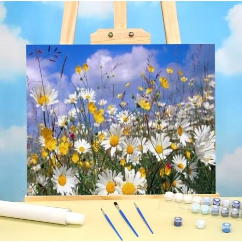 Flower DIY Painting By Numbers Complete Kit Acrylic Paints 40*50 Canvas Pictures Wall Decoration Children Wall Art Drawing