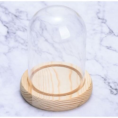 Top Quality Glass Cover With Wood Stand New Display Storage Box