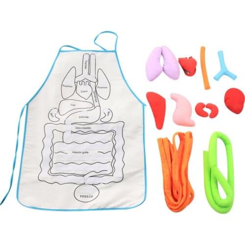 Children 3D Organ Apron Anatomy Toy Educational Learning Toy New Kindergarten Teaching Materials Human Body Anatomy Model Tool
