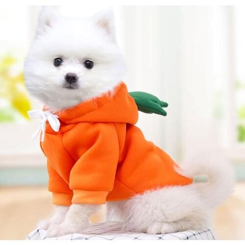 Autumn/Winter Dog Cat Sweater Fruit Colors Winter Hoodie Sweater Polyester Teddy Clothing Pet Supplies