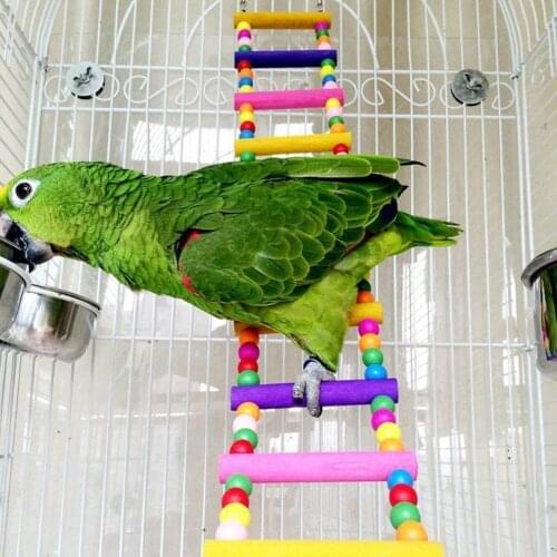 Pet Parakeet Swing Climbing Ladder Bridge Stand Parrot Birds Toy Hanging Decor birds accessoires Parrot toys vogel speelgoed