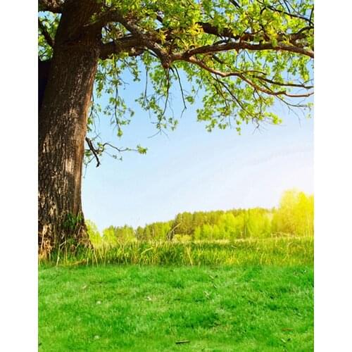 5x7ft Lawn Green Trees Photography Backdrops Photo Props Studio Background