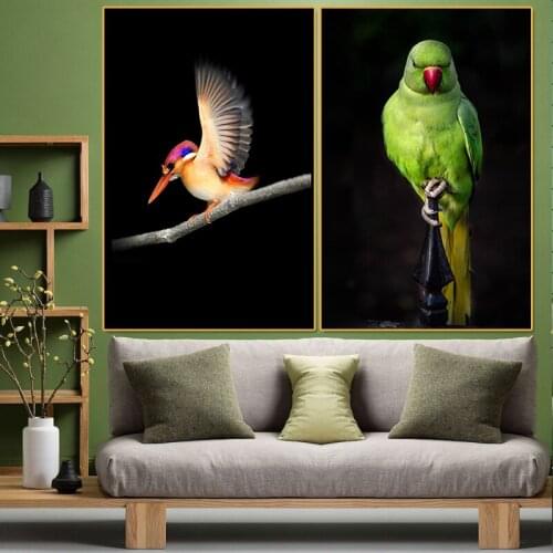 Canvas print Posters Green parrot kingfisher picture HD living room wall art Classical Bird Hoom Decor Animal Canvas Painting