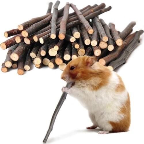 50g/set Rabbit Chinchilla Guinea Pig Squirrel Bite Molar Branch Bird Parrot Hamsters Chewing Toys