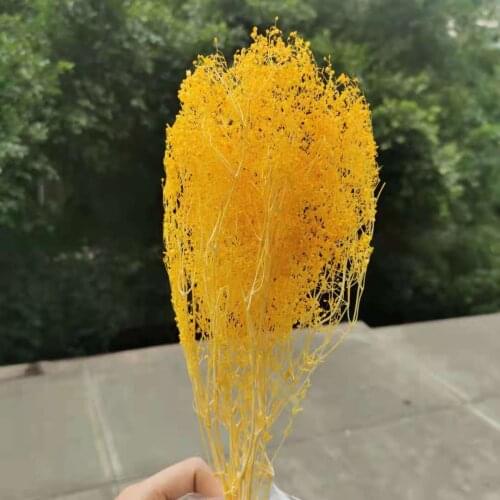 10g/bunch,Natural Dried Preserved Babysbreath flower mini Bouquet,Immortal Flowers Wedding Party Home Decoration accessories