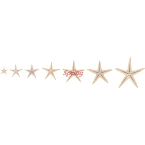 Popular Sea Shells Size:0.5-3cm Mini Starfish Craft Decoration Natural Sea Stars DIY Beach Cottage Wedding Decor Crafts Wedding
