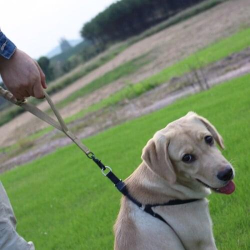 Dog Leash 1000D Nylon Tactical Military Police Dog Training Leash Elastic Pet Collars Multicolor