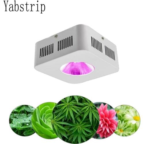 Yabstrip LED grow light 300W COB full spectrum fitolamp For vegetables Lettuce seeding Greenhouse plants growing led phyto lamp