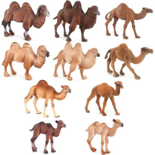 Realistic Hand Painted camel Wild Life Animal Figurine model Toy Christmas Birthday Gift for Kids