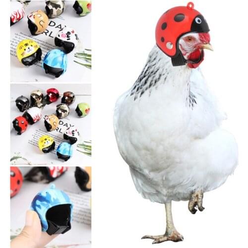 Light Funny ABS Accessories Pet Protective Headgear Bird Protect Cap Chicken Helmet Sun Rain Protection Hats