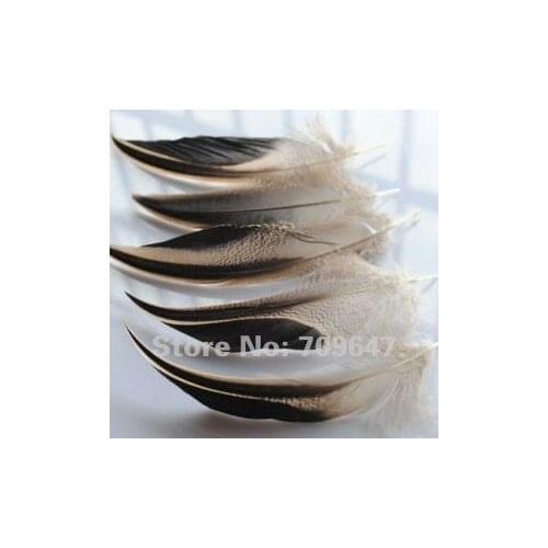 Feather top! 100pcs/Lot 7-10cm Very Nice Mallard Duck Striped Curly Wing Feathers,Mallard Duck Loose Feathers for Crafts