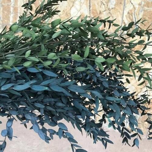 80g/Bundle Real Dried Natural Fresh Forever Preserved Fine Leaf Eucalyptus Branch,Decorative Eternal Leaves Eucalyptus Garland